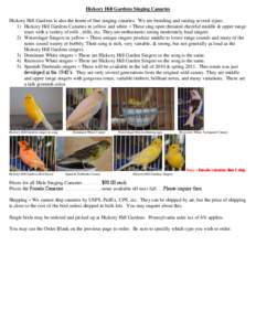 Hickory Hill Gardens Singing Canaries Hickory Hill Gardens is also the home of fine singing canaries. We are breeding and raising several types: 1) Hickory Hill Gardens Canaries in yellow and white – These sing open th