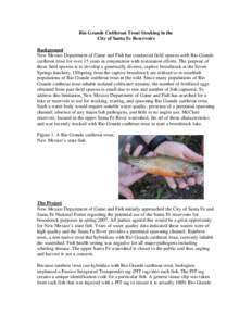 Rio Grande Cutthroat Trout Stocking in the