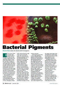 Bacterial Pigments Maurice Moss explores the colourful world of microorganisms F one leaves a plate