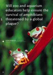 Will zoo and aquarium educators help ensure the survival of amphibians threatened by a global plague?