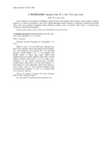 Manilkara / Pachypodium brevicaule / Litsea glaucescens