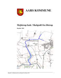 AARS KOMMUNE  Mejlstrup bæk / Skelgrøft fra Østrup RegulativRegulativ for Mejlstrup bæk og Skelgrøft fra Østrup 2001