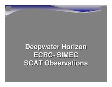 Deepwater Horizon ECRC~SIMEC SCAT Observations 1  Presentation Outline