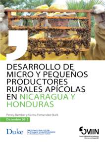 DESARROLLO DE MICRO Y PEQUEÑOS PRODUCTORES RURALES APÍCOLAS EN NICARAGUA y HONDURAS