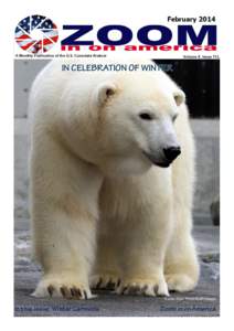 IN CELEBRATION OF WINTER  A polar bear. Photo © AP Images In this issue: Winter Carnivals