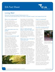 EIA Fact Sheet Living Wall Edmonton International Airport’s freshest piece of art Discover the secrets behind Green Over Grey’s Living Wall, located in the Canada Arrivals Hall.  What is the surface area?