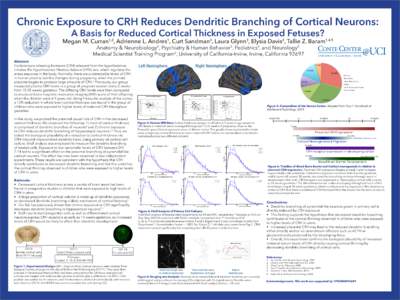 Neuroscience / Nervous system / Cerebrum / Neuroanatomy / Cerebral cortex / Corticotropin-releasing hormone / Dendritic spine / Sholl analysis / Stress / Neuron / Adrenal gland