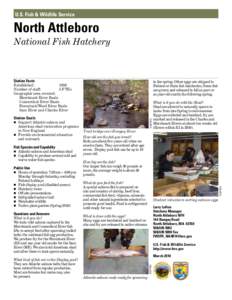U.S. Fish & Wildlife Service  North Attleboro National Fish Hatchery  Station Facts