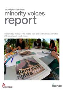 world perspectives:  minority voices report