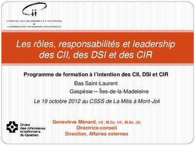 Les rôles, responsabilités et leadership des CII, des DSI et des CIR Programme de formation à l’intention des CII, DSI et CIR Bas Saint-Laurent Gaspésie ─ Îles-de-la-Madeleine Le 19 octobre 2012 au CSSS de La Mi