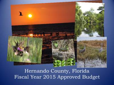 Hernando County, Florida Fiscal Year 2015 Approved Budget ACKNOWLEDGEMENTS  Hernando County Commissioners