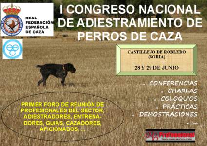 I CONGRESO NACIONAL DE ADIESTRAMIENTO DE PERROS DE CAZA CASTILLEJO DE ROBLEDO (SORIA)