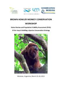 BROWN HOWLER MONKEY CONSERVATION WORKSHOP Status Review and Population Viability Assessment (PVA): A first step in building a Species Conservation Strategy  Photo: Ilaria Agostini