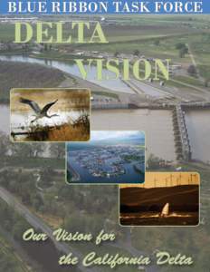 BLUE RIBBON TASK FORCE  DELTA VISION  Our Vision for