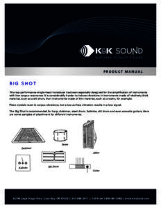 PRODUCT MANUAL  BIG SHOT This top-performance single-head transducer has been especially designed for the amplification of instruments with low corpus resonance. It is considerably harder to induce vibrations in instrume