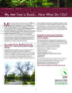 Extension Bulletin ERevised, March 2007 My Ash Tree is Dead… Now What Do I Do? are an integral component of a healthy ecosystem, creating nesting sites for birds, sheltered cavities for mammals
