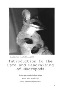 INTRODUCTION  TO THE CARE AND RAISING OF MACROPODS