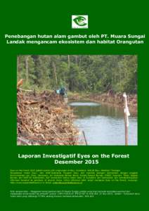 Penebangan hutan alam gambut oleh PT. Muara Sungai Landak mengancam ekosistem dan habitat Orangutan Laporan Investigatif Eyes on the Forest Desember 2015 Eyes on the Forest (EoF) adalah koalisi LSM Lingkungan di Riau, Su