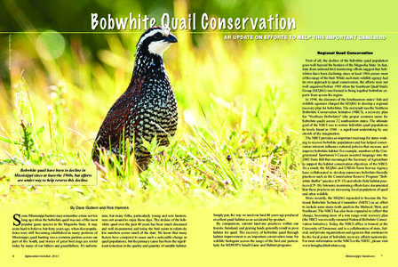 Bobwhite Quail Image ©Bill Stripling  Regional Quail Conservation Bobwhite quail have been in decline in Mississippi since at least the 1960s, but efforts