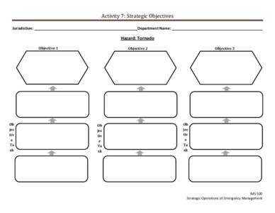 Activity 7: Strategic Objectives