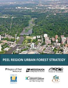 PEEL REGION URBAN FOREST STRATEGY  ACKNOWLEDGEMENTS The Peel Region Urban Forest Strategy has been prepared in partnership by the Toronto and Region Conservation Authority (TRCA), the Region of Peel, Credit Valley Cons