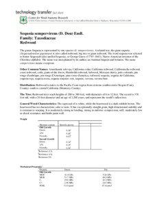 Sequoia sempervirens (D. Don) Endl. Family: Taxodiaceae Redwood