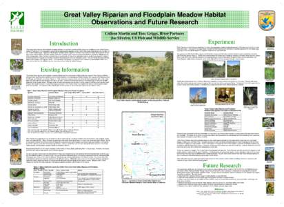 Great Valley Riparian and Floodplain Meadow Habitat Observations and Future Research Colleen Martin and Tom Griggs, River Partners Joe Silveira, US Fish and Wildlife Service  Experiment