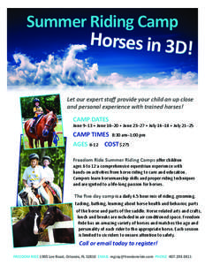 Summer Riding Camp  Horses in 3D!