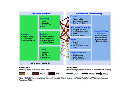 Ecosystem services  Constituents of well-being Security  Provisioning