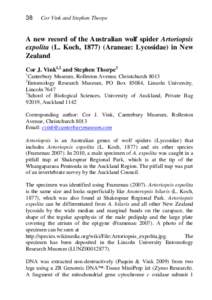 38  Cor Vink and Stephen Thorpe A new record of the Australian wolf spider Artoriopsis expolita (L. Koch, Araneae: Lycosidae) in New