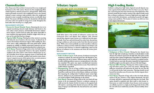 Channelization  Tributary Inputs MANAGEMENT OPTIONS • Recreate the Natural Meander Pattern. Returning the river to its