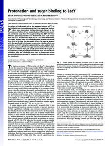 Protonation and sugar binding to LacY Irina N. Smirnova*, Vladimir Kasho*, and H. Ronald Kaback*†‡§ Departments of *Physiology and †Microbiology, Immunology, and Molecular Genetics, ‡Molecular Biology Institute,