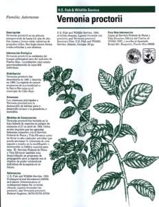 u.s. Fish & Wildlife Service Familia: Asteraceae Vernonia proctorii  Descripcion