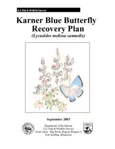 Karner Blue Butterfly Recovery Plan (Lycaeides melissa samuelis) September 2003 Department of the Interior