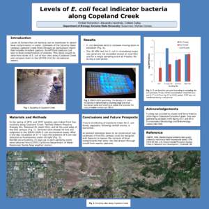 Levels of E. coli fecal indicator bacteria along Copeland Creek Kimber Richardson, Alexandra Hendricks, Colleen Dailey Department of Biology, Sonoma State University (Supervisor, Michael Cohen)  Levels of Escherichia col