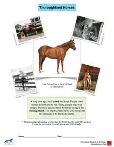 Thoroughbred Horses  Visit Funny Cide at the KHP Hall of Champions!  A long time ago, man tamed the horse. People used