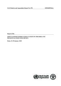 Food and Agriculture Organization / Food safety / Immunotoxins / Organochlorides / Persistent organic pollutants / Methylmercury / Polychlorinated dibenzodioxins / Omega-3 fatty acid / Joint FAO/WHO Expert Committee on Food Additives / Food and drink / Medicine / Health