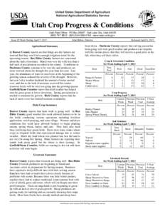 Crops / Sheep / Agriculture in the United Kingdom / Food industry / Wheat / Livestock / Farm / Agriculture / Food and drink / Human geography