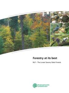 Forestry at its best NLF – The Lower Saxony State Forests   