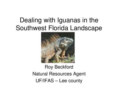Microsoft PowerPoint - Dealing with Iguanas in the Southwest Florida Landscape.ppt