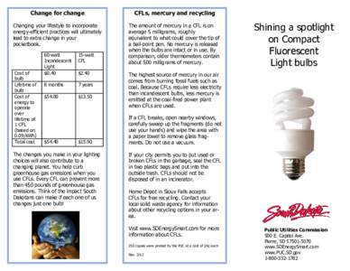 Change for change  CFLs, mercury and recycling Changing your lifestyle to incorporate energy-efficient practices will ultimately