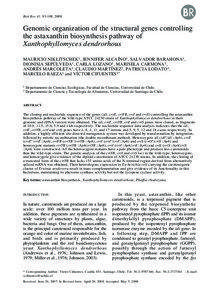 Restriction enzyme / Site-directed mutagenesis / Transformation / Blue white screen / Plasmid / Phytoene / CDNA library / EcoRV / Molecular cloning / Biology / Molecular biology / Biochemistry