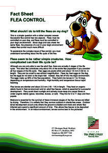 Fact Sheet FLEA CONTROL What should I do to kill the fleas on my dog? This is a simple question with a rather complex answer. Successful flea control has two aspects. Fleas must be controlled on your dog, and fleas must 