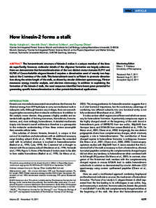 MBoC | ARTICLE  How kinesin-2 forms a stalk Marija Vukajlovica, Hendrik Dietzb, Manfred Schliwaa, and Zeynep Öktena a