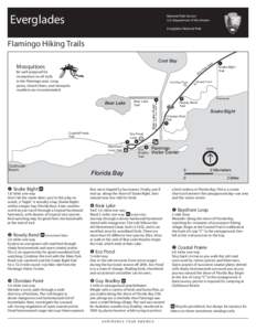 Flamingo /  Florida / Everglades National Park / Tropical hardwood hammock / Guy Bradley / Everglades / Florida / Geography of the United States