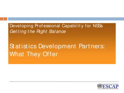1  Developing Professional Capability for NSSs Getting the Right Balance  Statistics Development Partners: