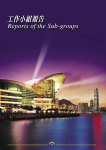 工作小組報告  Reports of the Sub-groups 34