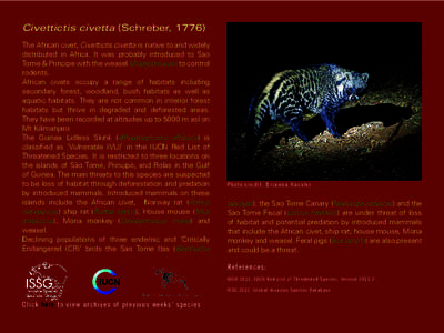 Civettictis civetta (Schreber, 1776) The African civet, Civettictis civetta is native to and widely distributed in Africa. It was probably introduced to Sao Tome & Principe with the weasel Mustela nivalis to control rode