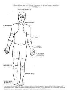 Make the Road New York  1-Hour Ergonomics for General Industry Workshop HANDOUT 1 SECCION FRONTAL EL CUELLO EL HOMBRO