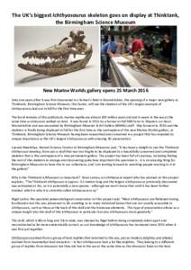 Ichthyosaur / Ichthyosauromorphs / Herpetology / Mesozoic / Triassic / Mary Anning